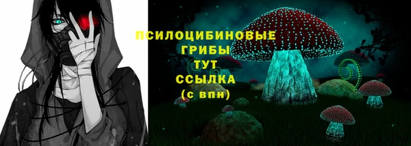 МДПВ Белокуриха