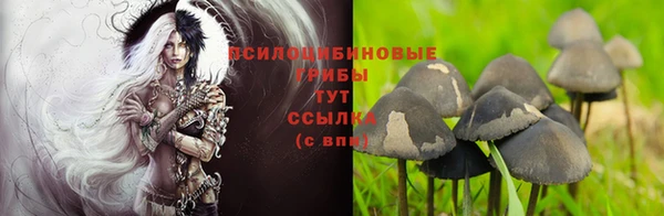 МДПВ Белокуриха