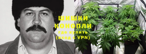 спайс Беломорск
